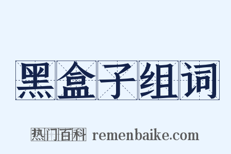 黑盒子组词是什么意思的图片